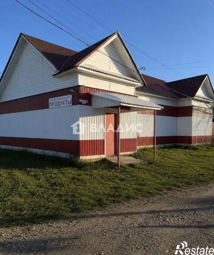 Торговое помещение 2-я Пушкинская улица, 54,  д. 54